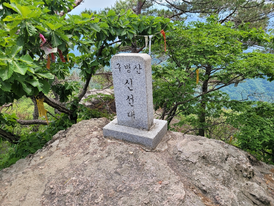 265eb4d01f7e1db4b3dc6644738854e3_1655042548_8309.jpg