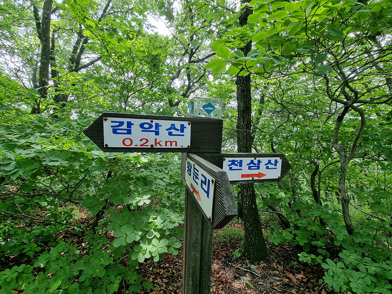 6fc9737c936dbdfd978be06cacb832bf_1656376822_9682.jpg