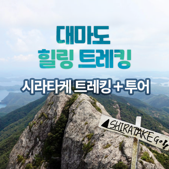 [ȹƯ] 븶 Ʈŷ+ 