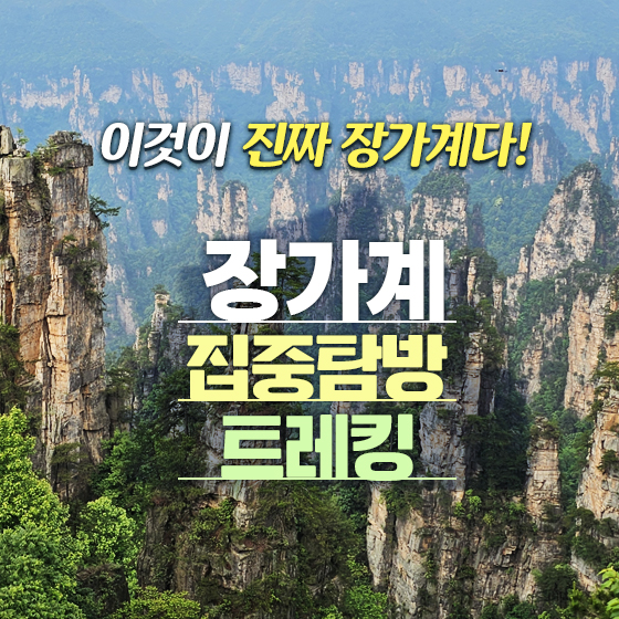 尡,,õ Ȳä  (Ž Ʈŷ)