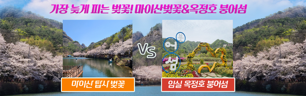 ���̻����ȣ