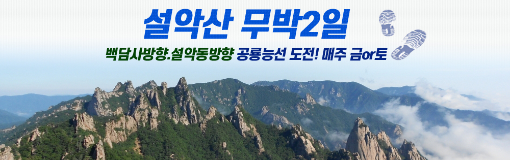 ���ǻ깫��